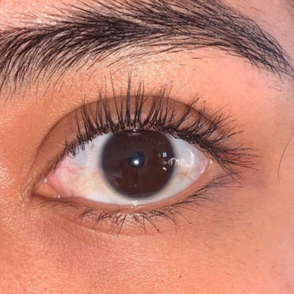 Cosmephia™ Lash Curl Pro